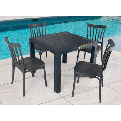 218 Rattan masa takımı 