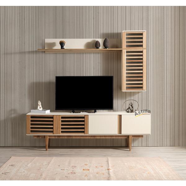 910-lina-tv-unitesi-resim2-2873.jpg