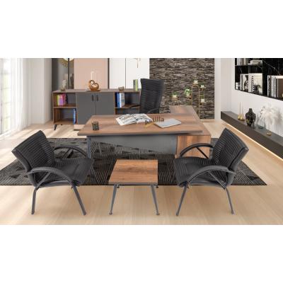 L makam Avrupa 1 ofis takımı