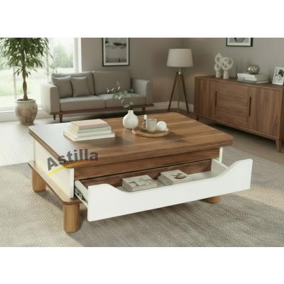 Dora sihirli orta sehpa