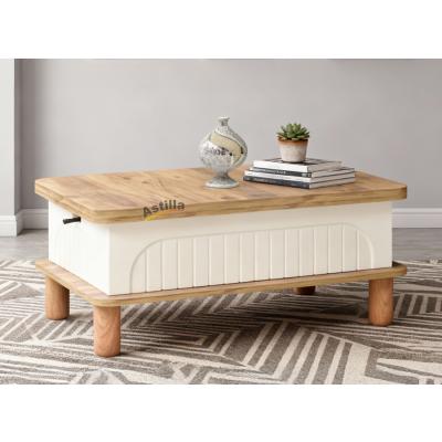 sihirli bohem orta sehpa 