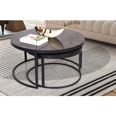 Z02 Yavrulu Dünya Orta Sehpa Siyah